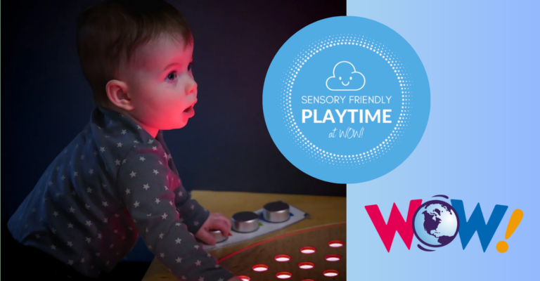 Sensory Friendly Playtime